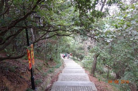 上方山|蘇州上方山國家森林公園